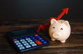Happy piggy bank and a calculator. Growth in savings. - PhotoDune Item for Sale