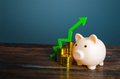 Piggy bank and money. Growth in savings and property assets.  - PhotoDune Item for Sale