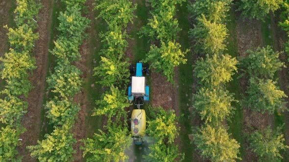 Tractor Spraying Apple Trees In Garden With Herbicides And Pesticides Aerial