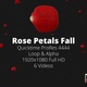 Rose Petal Fall HD - VideoHive Item for Sale