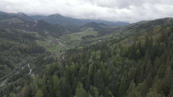 Ukraine, Carpathian Mountains: Beautiful Mountain Forest Landscape, Aerial, Flat, Gray