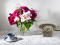 Restro styled still life - PhotoDune Item for Sale