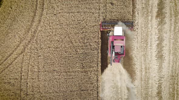 Aerial View Red Harvester Working in the Field. Combine Harvester Agricultural Machine Collecting