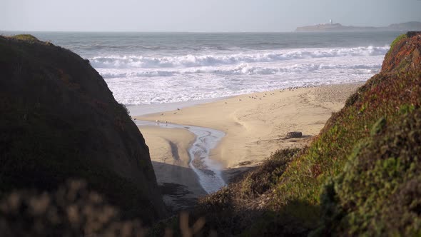 Waves at the beach, cliffs and birds on the sand.