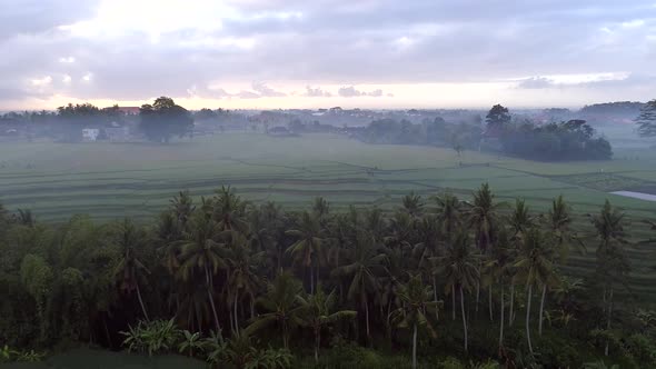 Aerial view of agricultural land in the countryside, Bali, Indonesia.