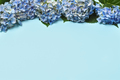 Border of blue hydrangea flowers - PhotoDune Item for Sale