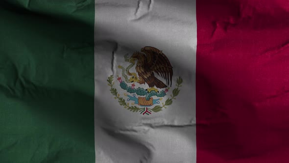 Mexico Flag Textured Waving Background 4K