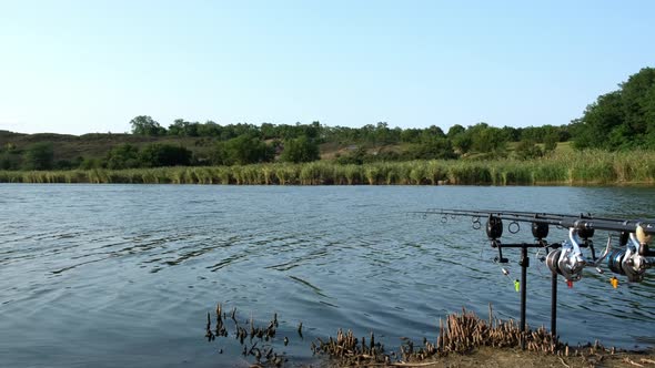 Carp Fishing Rods with Carp Bite Indicators and Reels Set Up on Rod Pod on a Background of Lake or