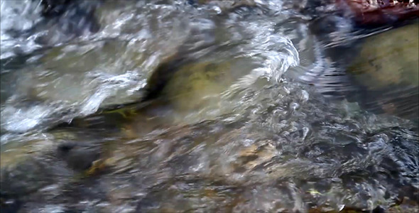 Slow Motion Stream Flow 3 alt