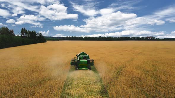 Drone aerial flying over combine harvester working on wheat field