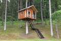 Wooden tree house in the forest - PhotoDune Item for Sale
