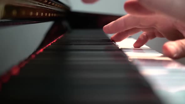 Hands of Musician Playing Keyboard in Dark Hall