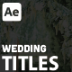 Wedding Titles - VideoHive Item for Sale