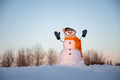 Funny snowman in knitted hat - PhotoDune Item for Sale