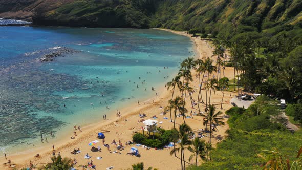 close up shot of the beach and reef at hanauma bay