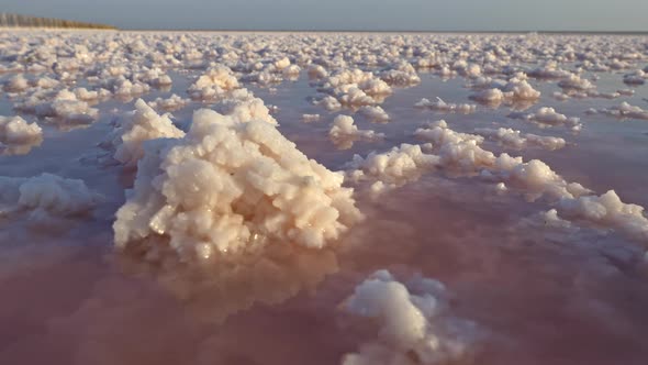 Walking By Pink Lake of Salt, Salt Crystals of NaCl Seen All the Way To Horizon, The Lake Has Great