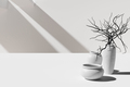 Dried bare curved tree branches in round vase, 3D render - PhotoDune Item for Sale