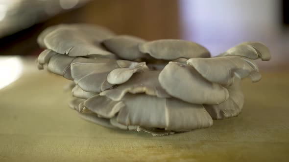 Slider rotating shot of a cluster of fresh oyster mushrooms on a thick wood cutting board.