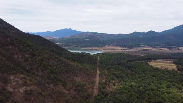 Forest of Mascota Jalisco, panorama of the vegetation