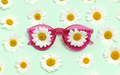 Pink sunglasses with daisies - PhotoDune Item for Sale