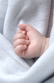 Baby hand of a sleeping young baby close up - PhotoDune Item for Sale