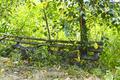 An old broken fallen wooden fence, old dirty dishes against the backdrop of bright summer greenery - PhotoDune Item for Sale