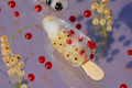 currant berries in ice, frozen in the form of ice cream on a stick. summer refreshing food - PhotoDune Item for Sale