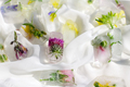 Ice cubes with flowers. A hot summer day and cooling ice - PhotoDune Item for Sale