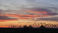 Landscape with beautiful sunset sky - PhotoDune Item for Sale
