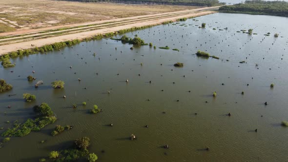 Peatland and wetland deforestation for construction