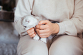 Woman in beautiful beige clothes holds a small cute kitten on her knees - PhotoDune Item for Sale