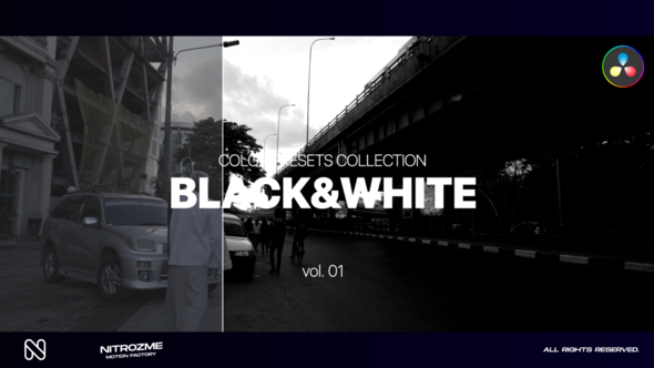 Black and White LUT Collection Vol. 01 for DaVinci Resolve