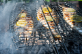 Grilling dorada fish on grill - PhotoDune Item for Sale