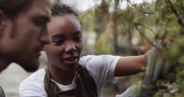 Black Gardener Showing Tree Branch to Colleague