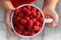 a mug full of ripe raspberries in the hands of a child. harvesting raspberries in the garden - PhotoDune Item for Sale