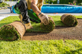 Rolls of Natural Grass Turfs Being Installed Inside a Backyard Garden - PhotoDune Item for Sale