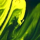 Green and Yellow liquid paint droping in Organic Shape - VideoHive Item for Sale