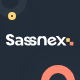 Sassnex - Startup, Saas & Agency HTML5 Template - ThemeForest Item for Sale