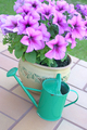Flower pot with petunias and watering can - PhotoDune Item for Sale