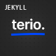 Terio - Digital Agency & IT Services Jekyll Theme - ThemeForest Item for Sale