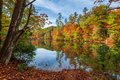 Lakeside fall foliage at Santeetlah Lake, North Carolina - PhotoDune Item for Sale