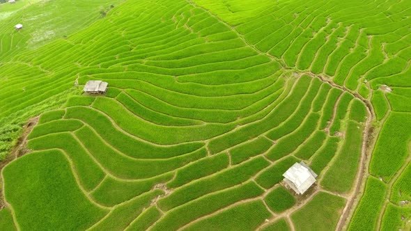 Rice field terrace on mountain agriculture land.