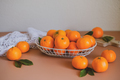Harvesting oranges, or mandarin with green leaves . The vitamin C and nutrition of orange. - PhotoDune Item for Sale