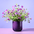 Beautiful purple bouquet - PhotoDune Item for Sale