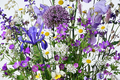 Background of beautiful flowers - PhotoDune Item for Sale