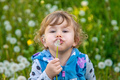 A child in nature blows a dandelion. Selective focus. - PhotoDune Item for Sale