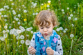 A child in nature blows a dandelion. Selective focus. - PhotoDune Item for Sale