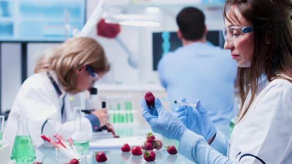 GMO Testing in Modern and High End Biotechnology Laboratory alt