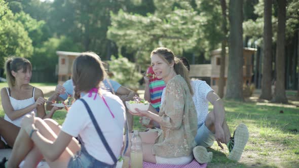 Family and friends having picnic together