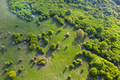 Aerial view of a green wild pasture in the spring - PhotoDune Item for Sale